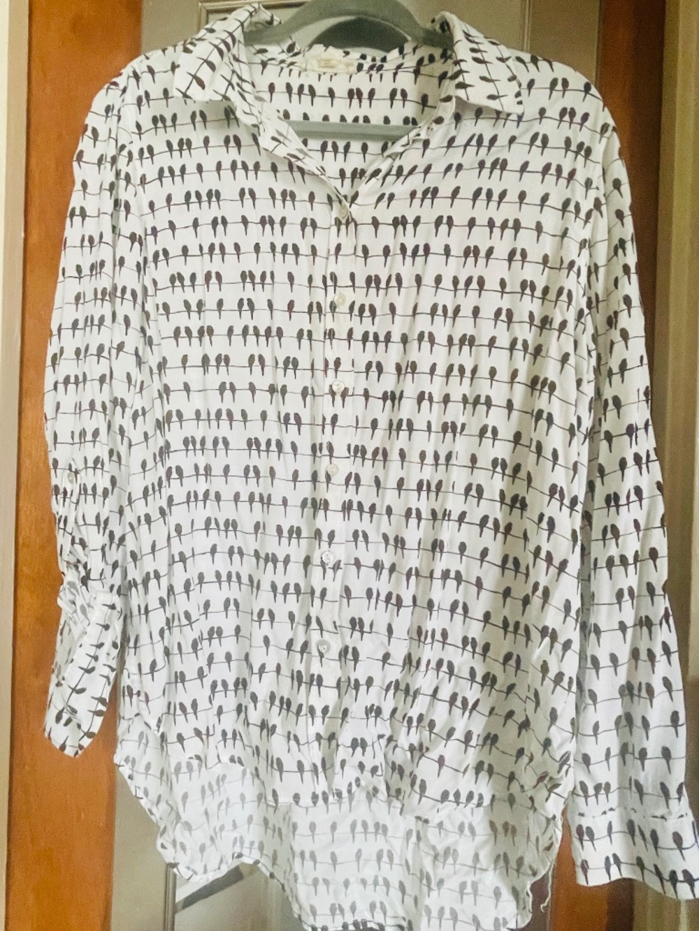 Jane Delancey Bird Print Button Front Blouse L 100% Rayon - Picture 2 of 4